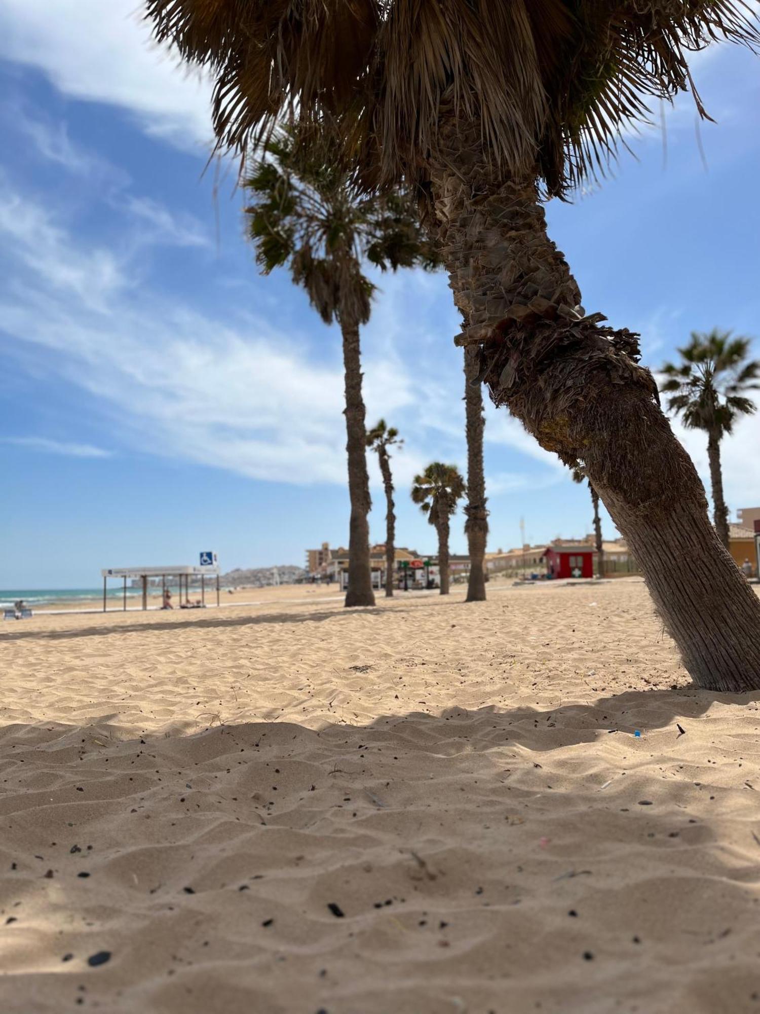 Sol De Mar, La Mata Lejlighed La Mata  Eksteriør billede