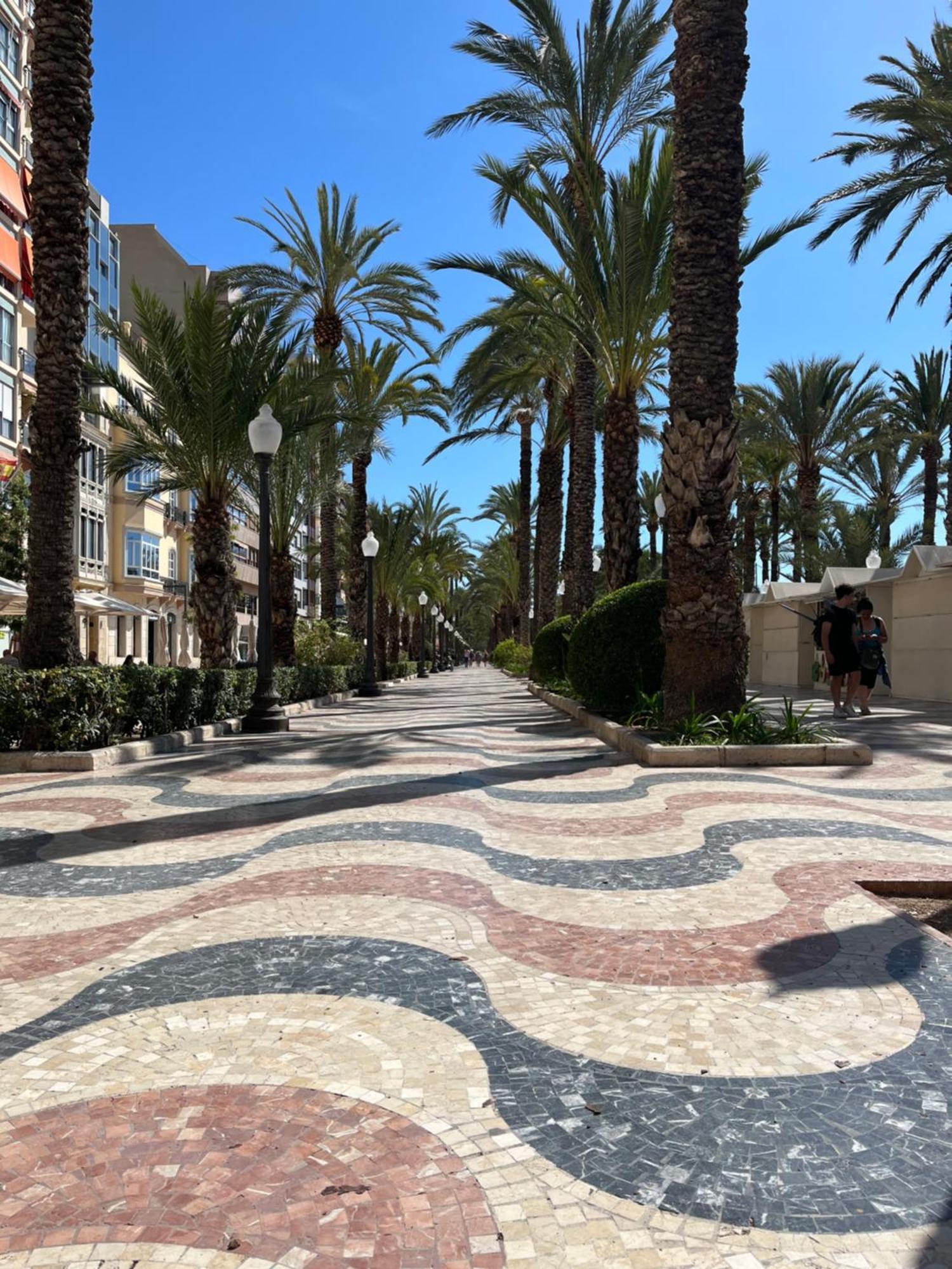 Sol De Mar, La Mata Lejlighed La Mata  Eksteriør billede