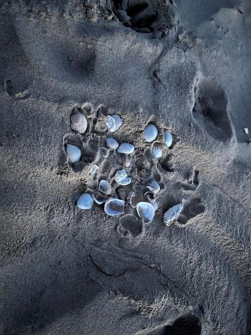 Sol De Mar, La Mata Lejlighed La Mata  Eksteriør billede